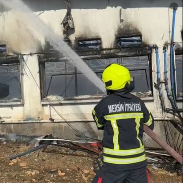 Tavuk çiftliğinde yangın; 33 bin civciv öldü