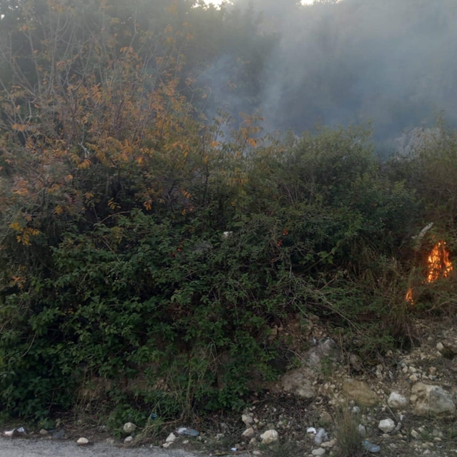 Samandağ'da çıkan bahçe yangını söndürüldü