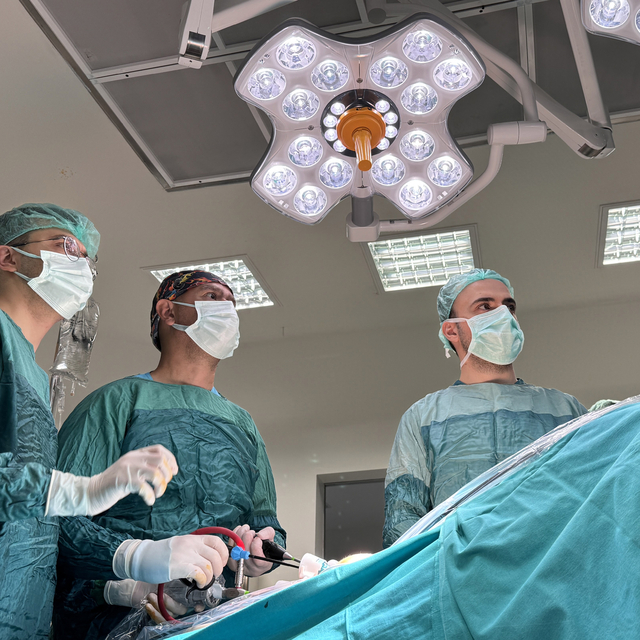 Türk doktorun "stres tipi idrar kaçırma"ya yönelik geliştirdiği tedaviyle b...