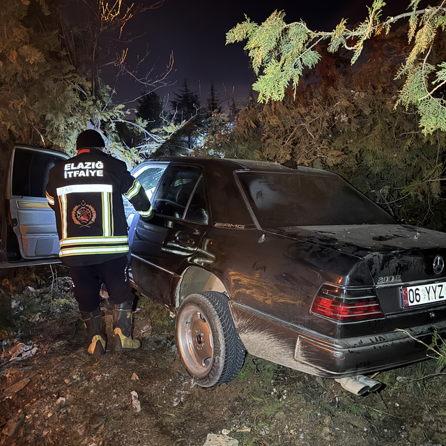 Elazığ'da ağaçlara çarpan otomobildeki 4 kişi yaralandı