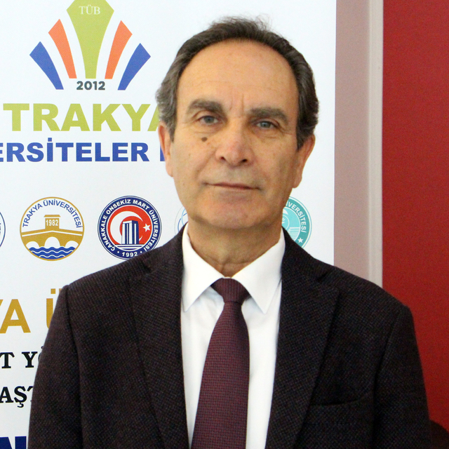 Prof. Dr. Eyidoğan: Marmara'daki olası depremden 11 il etkilenecek