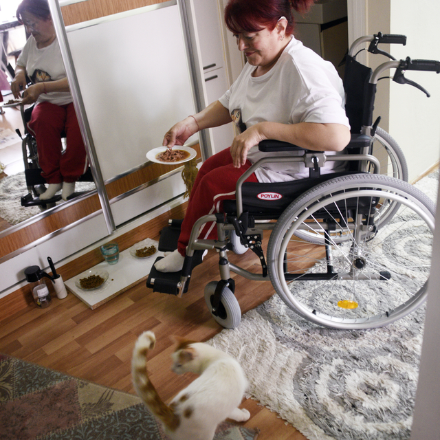 Bedensel engelli kadın, hasta kedisi "Sütlaç"ı iyileştirmek için bankadan k...