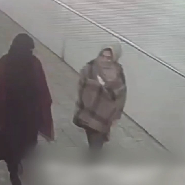 Doğum yaptıktan 8 gün sonra hırsızlık yaptı, ev hapsine çarptırıldı