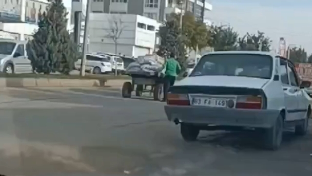 Şanlıurfa'da ata eziyet kamerada