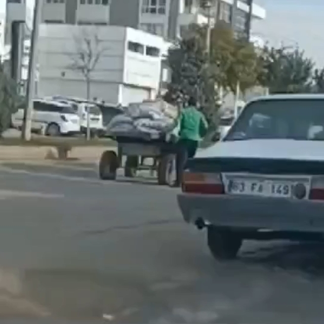 Şanlıurfa'da ata eziyet kamerada