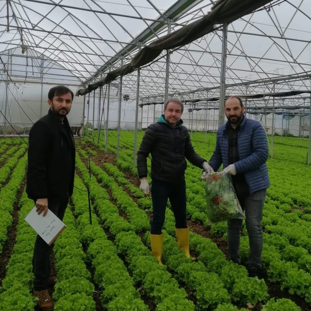 Bursa'da hasat öncesi pestisit denetimi uygulanıyor