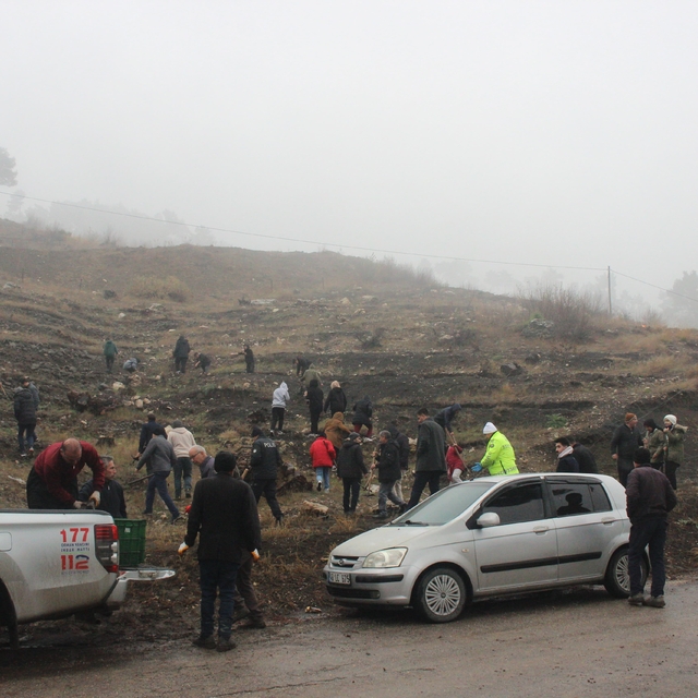 Aladağ'da imamlar 10 bin fidan dikti