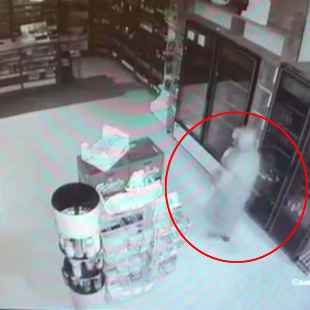 Muğla'da 10 marketten sigara ve para çalan şüpheli yakalandı; hırsızlık kam...