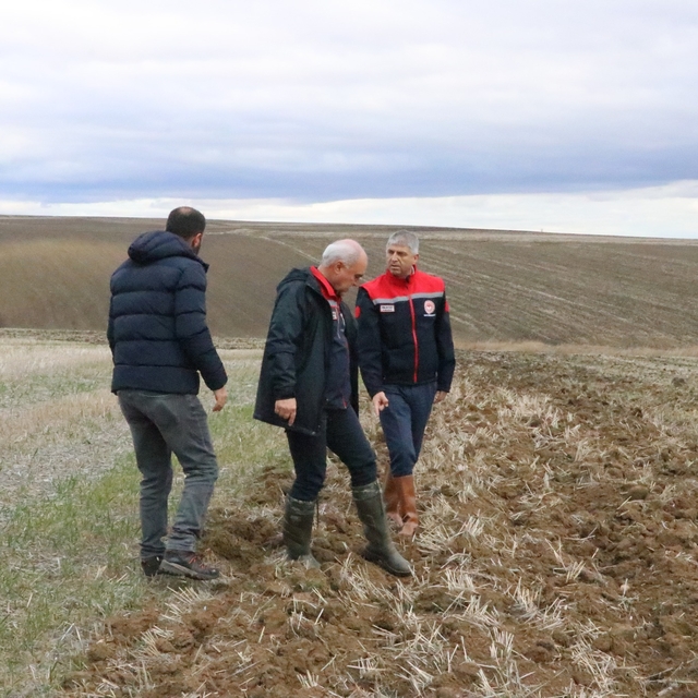 Edirne'de farklı ekim metotlarıyla ayçiçeğinin kuraklığa karşı dayanıklılığ...