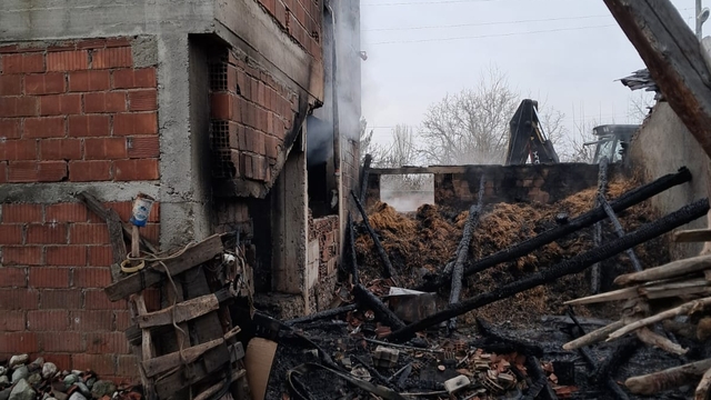 Boyabat'ta çıkan yangında 5 büyükbaş hayvan telef oldu