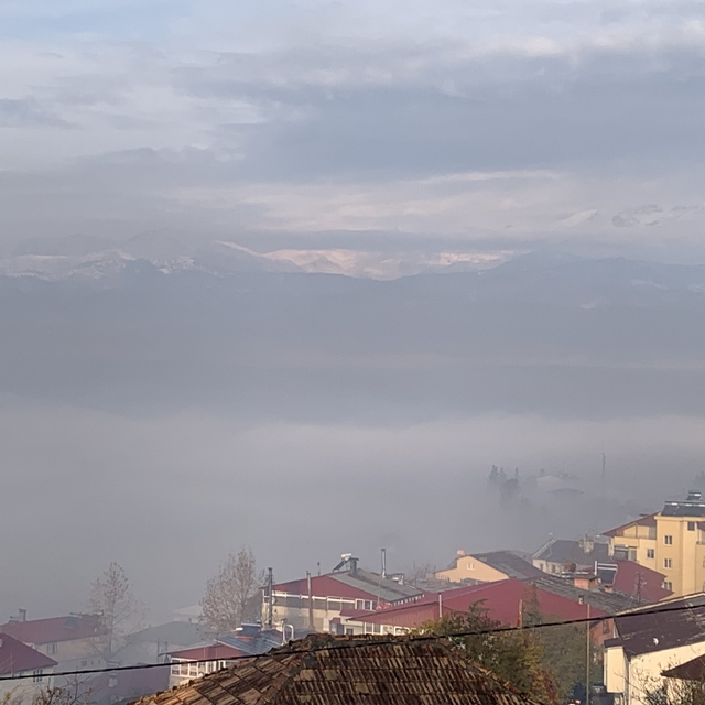 Adana Aladağ'da sis etkili oldu