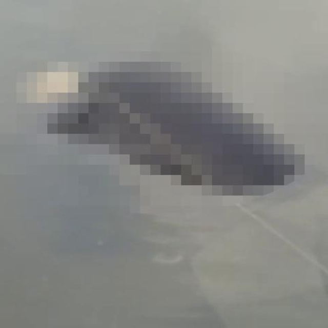 Balıkçıların ağına elleri ve ayakları bağlı erkek cesedi takıldı (2)