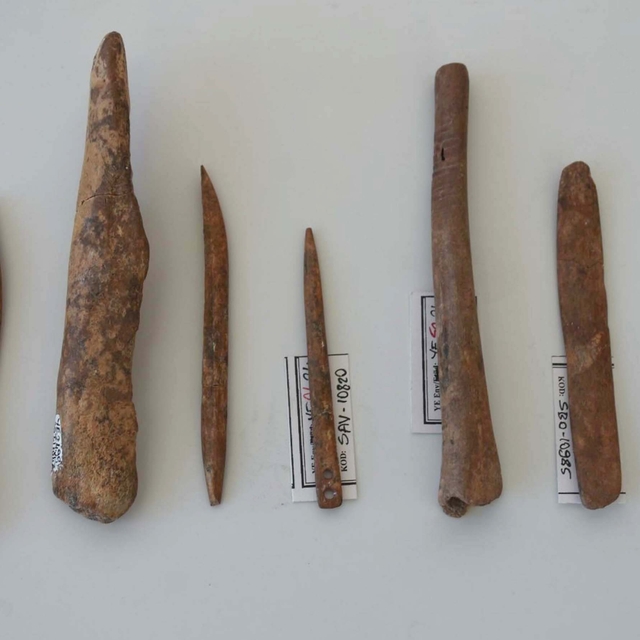 Yeşilova'da 8 bin 500 yıllık kemik aletler