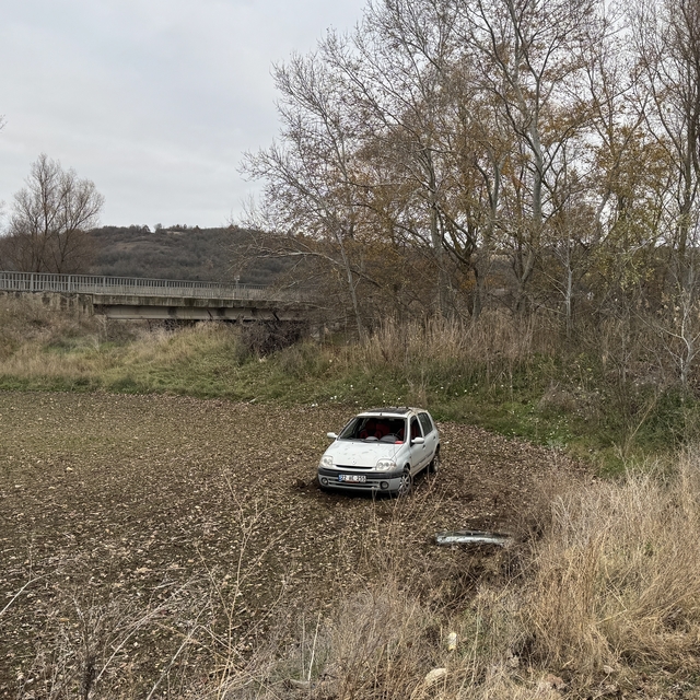 Edirne'de tarlaya devrilen otomobilde 1 kişi yaralandı