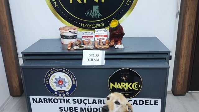 Salça bidonundaki uyuşturucu narkotik köpeği Jack buldu