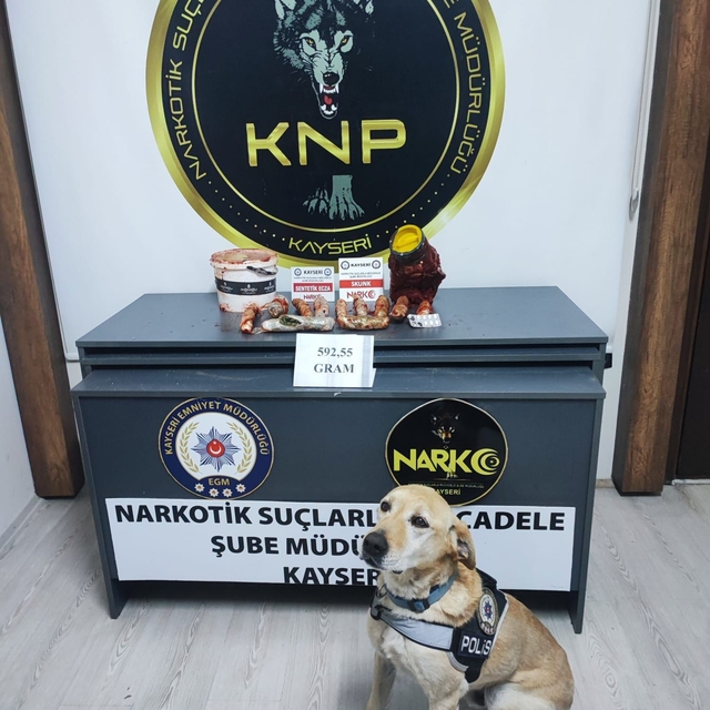 Salça bidonundaki uyuşturucu narkotik köpeği Jack buldu