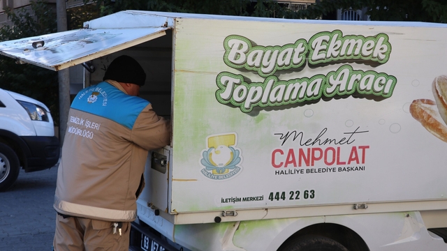 Haliliye'de toplanan bayat ekmekler sahipsiz hayvanlara yemek oluyor