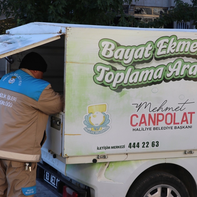 Haliliye'de toplanan bayat ekmekler sahipsiz hayvanlara yemek oluyor