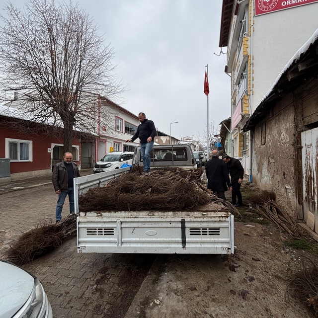 Almus'ta üreticilere 1070 ceviz fidanı dağıtıldı