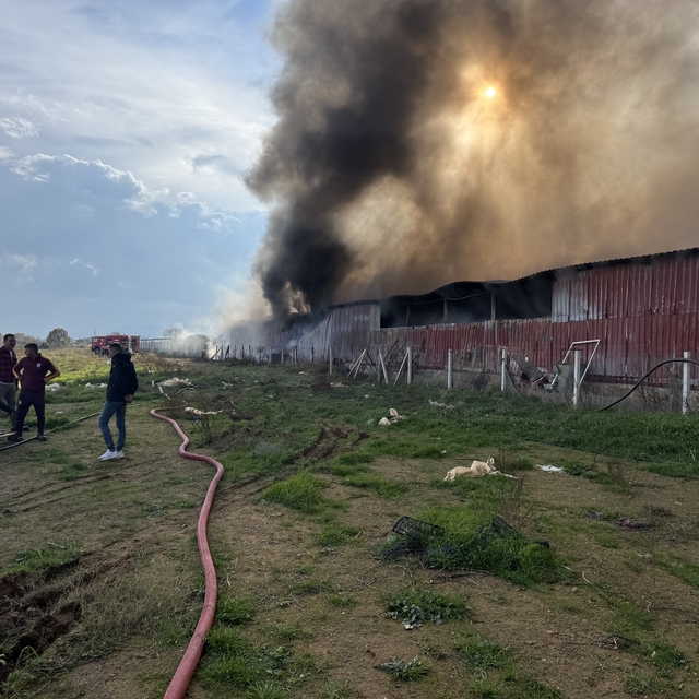 İzmir'de tarım malzemeleri deposunda çıkan yangın kontrol altına alındı