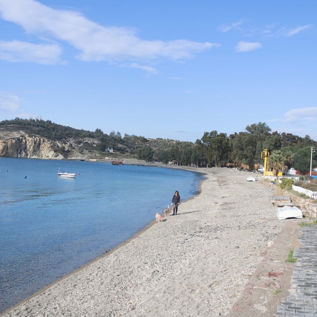 İzmir'de belediyenin koy manzaralı arazi satışına karşı imza kampanyası