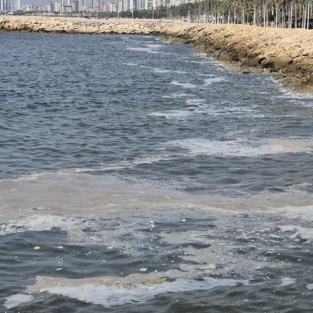 ODTÜ Deniz Bilimleri Enstitüsü Müdürü Salihoğlu, denizlerdeki kirliliğin ar...