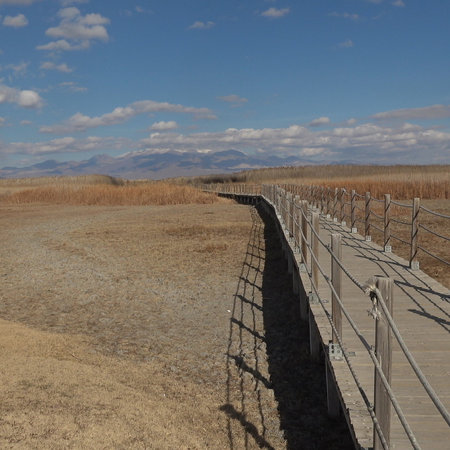 301 kuş türüne ev sahipliği yapan Sultan Sazlığı için 'kuraklık' uyarısı