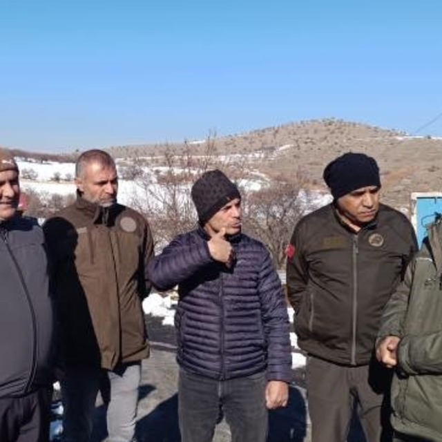 Keban'da yaban domuzlarına karşı "sürek avı" yapıldı