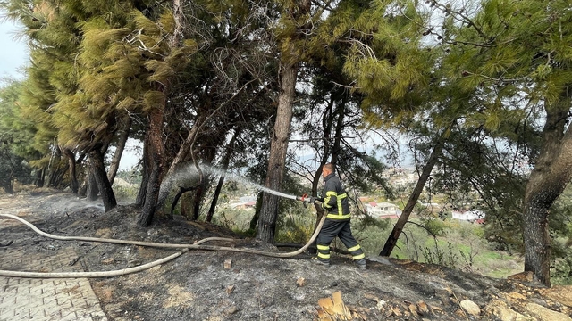 Hatay'da çamlıkta çıkan yangın söndürüldü