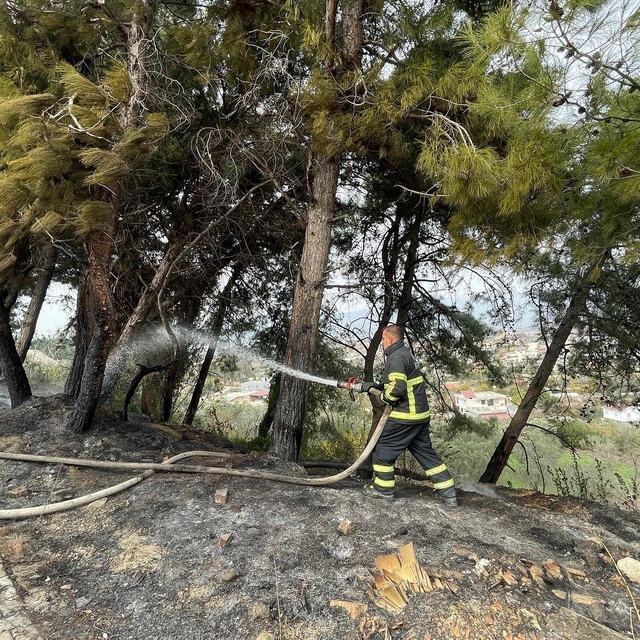 Hatay'da çamlıkta çıkan yangın söndürüldü