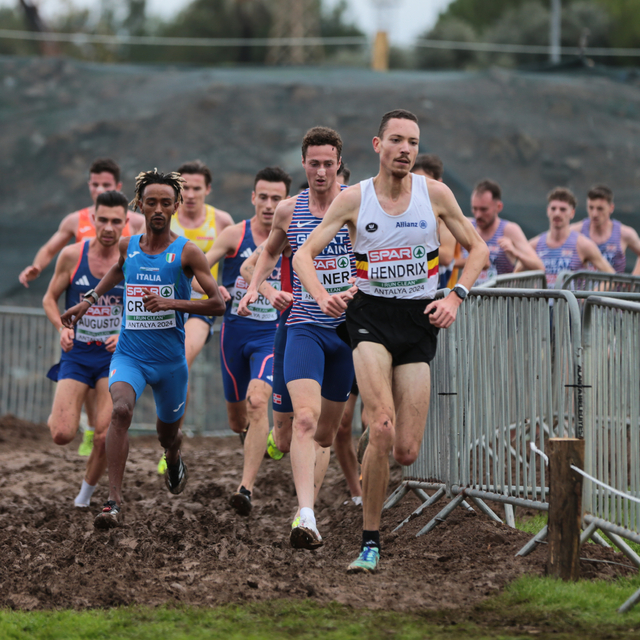 Avrupa Kros Şampiyonası