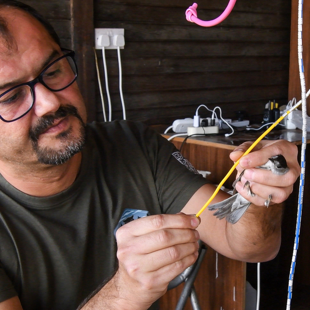 KKTC'nin ilk kuş halkalama istasyonu açıldı