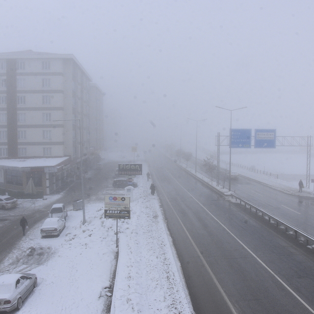 Bitlis'te yoğun sis