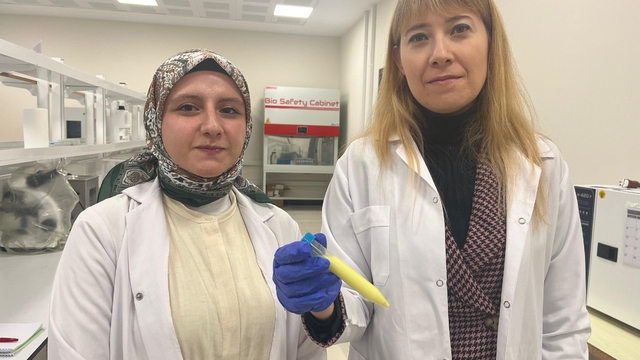 Pansuman değişimini ortadan kaldıran 'yara örtüsü' geliştiriliyor