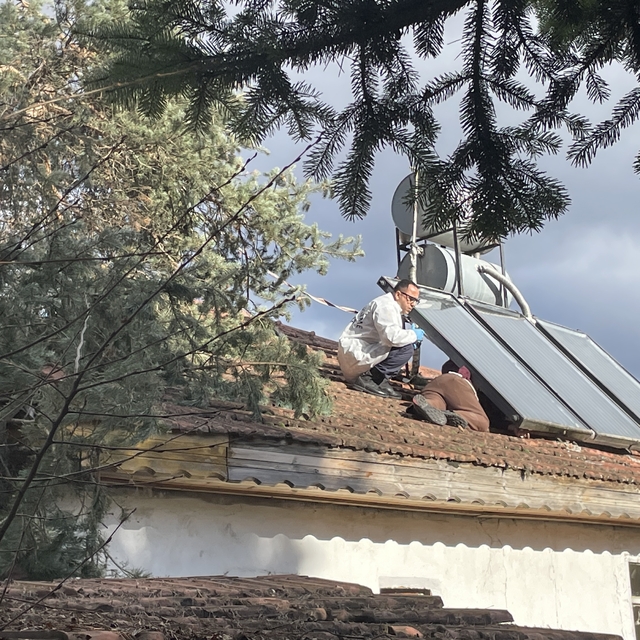 Bolu'da yaşlı adam, devrilen ağacı kesmek için çıktığı evinin çatısında ölü...