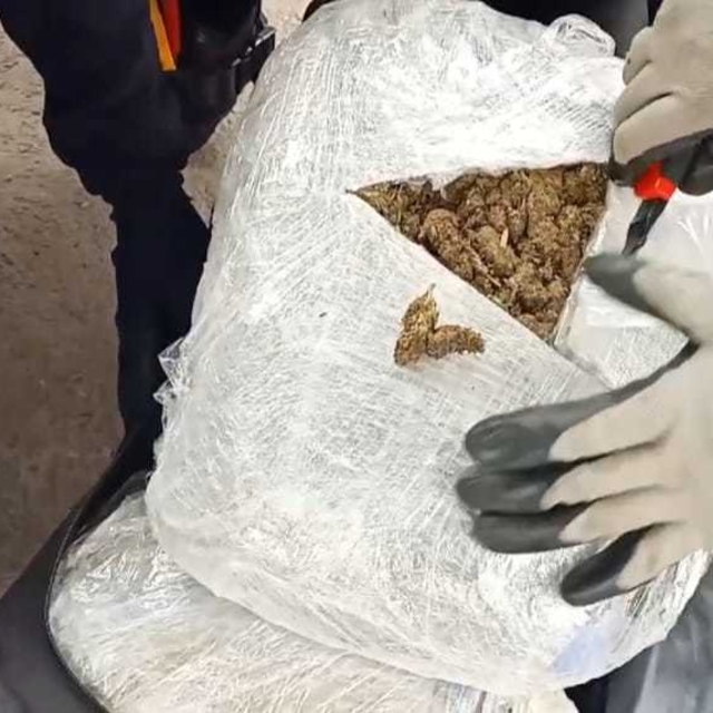 Malatya'da 16 kilo 300 gram skunk ele geçirildi