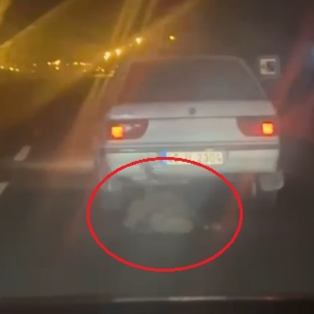 Kayseri'de otomobiline bağladığı domuzu sürükleyen şüpheli yakalandı