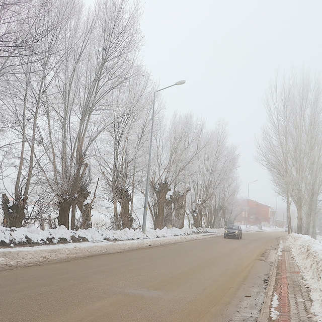 Bayburt'ta soğuk hava ve sis etkili oldu