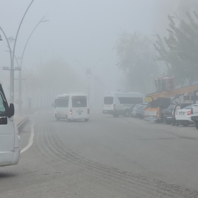 Batman'da sis etkili oldu