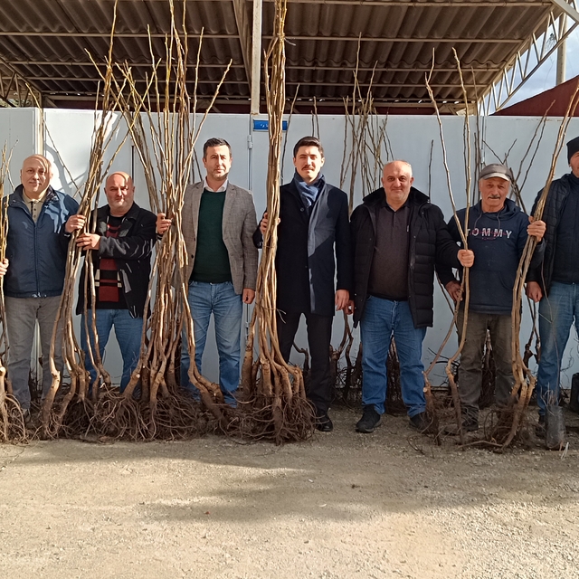 Pazaryeri'nde çiftçilere meyve fidanı dağıtıldı