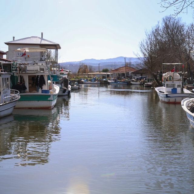 Sakarya'da balıkçılar, Karadeniz'den bol miktarda barbun ve istavritle dönd...
