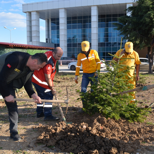 Bafra Devlet Hastanesi bahçesine fidan dikildi