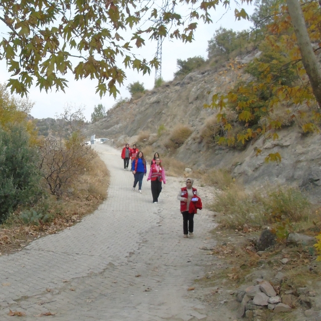 Kızılay gönüllüleri yaşlı kadının zeytin hasadını yaptı