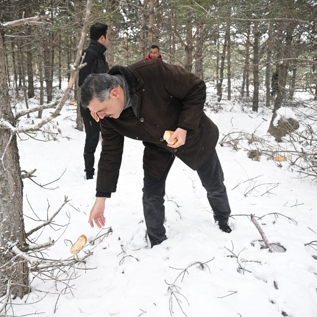 Erzurum Valisi Çiftçi, yaban hayvanları için doğaya yem bıraktı