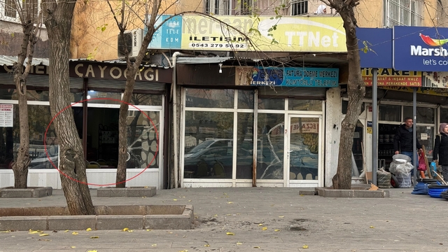 Galeri