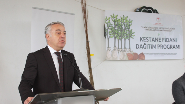 İzmirli üreticilere kestane fidanı desteği