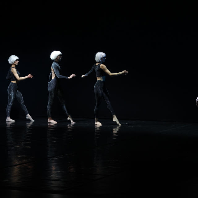 1. Anadolu Opera ve Bale Festivali kapsamında Kırklareli'nde "Rezonans" dan...