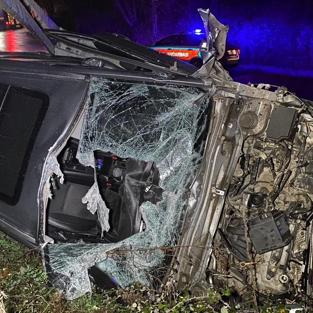 Sakarya'da devrilen cipin sürücüsü yaralandı
