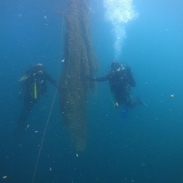 Çanakkale'de 500 bin metrekare alan taranarak 16 bin metrekare hayalet ağ ç...