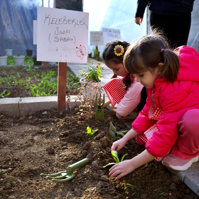 Osmaniye'deki anaokulunda her sınıfın bir sebze bahçesi ve bakımını üstlend...